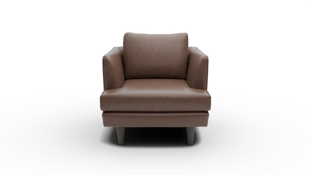 L200-01 Rainey Leather Arm Chair