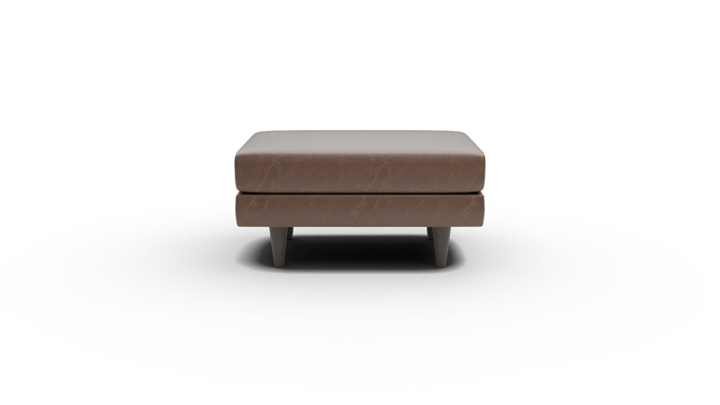 L200-02 Rainey Leather Ottoman